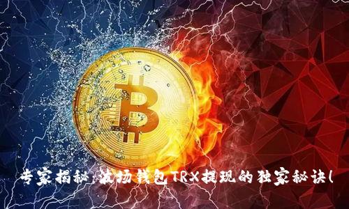 专家揭秘：波场钱包TRX提现的独家秘诀！