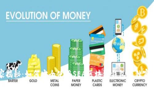 专家揭秘：如何安全使用SEA区块链钱包的独家秘诀