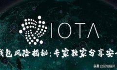 比特币热钱包风险揭秘：专家独家分享安全使用