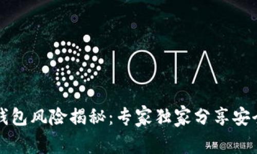比特币热钱包风险揭秘：专家独家分享安全使用秘诀