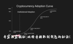 专家独家揭秘：比特币提取到钱包的秘诀！