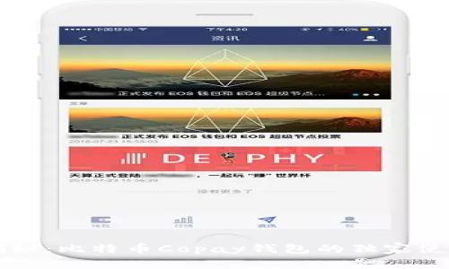 专家揭秘：比特币Copay钱包的独家使用秘诀