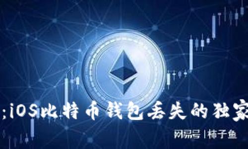 专家揭秘：iOS比特币钱包丢失的独家解决秘诀