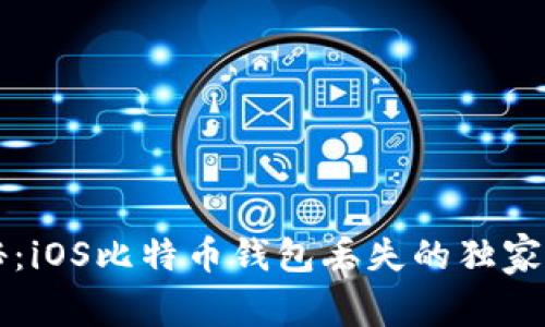 专家揭秘：iOS比特币钱包丢失的独家解决秘诀