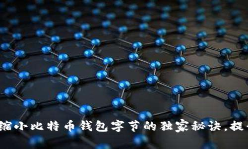 专家分享：缩小比特币钱包字节的独家秘诀，提升存储效率