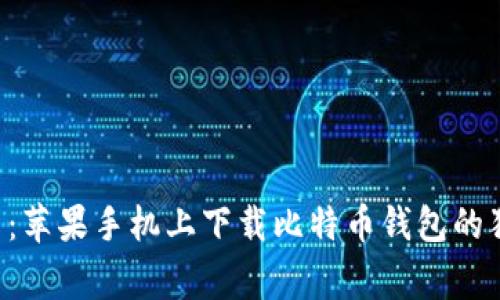 专家揭示：苹果手机上下载比特币钱包的独家秘诀！