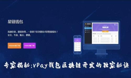 专家揭秘：vPay钱包区块链开发的独家秘诀