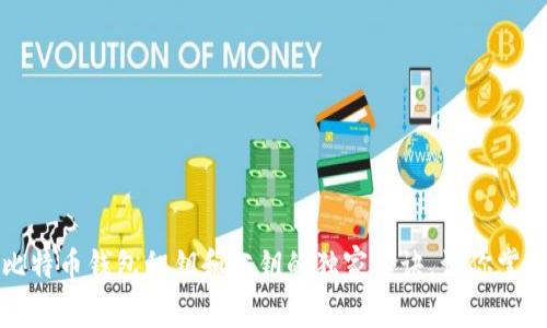 专家揭秘：比特币钱包私钥和公钥的独家秘诀，让你掌握安全存储！