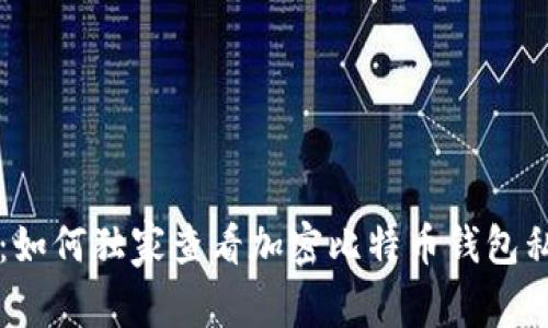 专家揭秘：如何独家查看加密比特币钱包私钥的秘诀