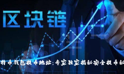 比特币钱包提币地址：专家独家揭秘安全提币秘诀