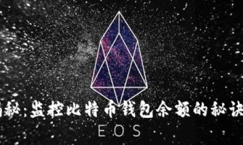 专家独家揭秘：监控比特币钱包余额的秘诀，你知道吗？