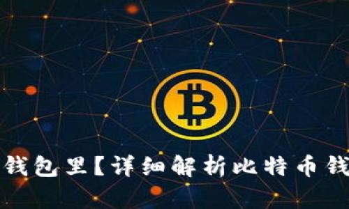 比特币为什么要放到钱包里？详细解析比特币钱包的必要性与安全性