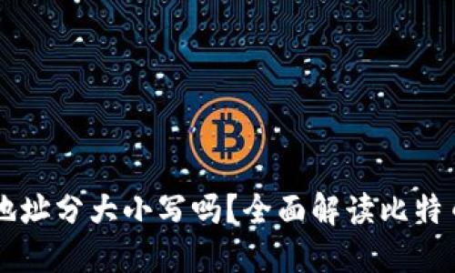 比特币钱包地址分大小写吗？全面解读比特币地址的细节