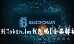 USDT可以放到Token.im钱包吗？全面解析与使用指南