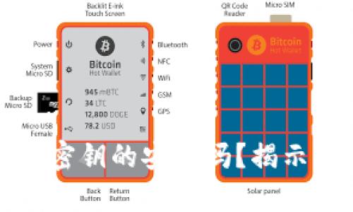 以太坊钱包没有密钥的安全吗？揭示真相与应对策略