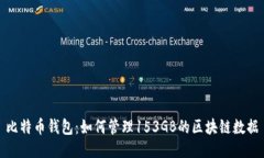 比特币钱包：如何管理153GB的区块链数据