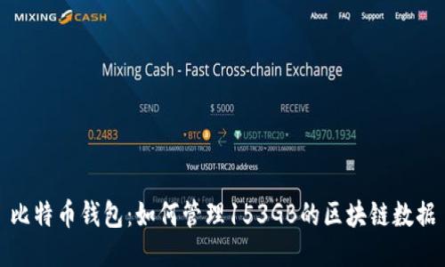 比特币钱包：如何管理153GB的区块链数据