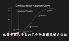 比特币钱包平台打不开的原因及解决方法