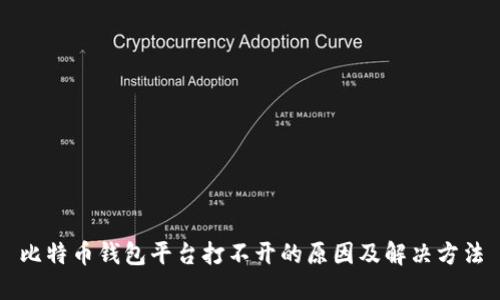 比特币钱包平台打不开的原因及解决方法