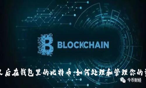 分叉后在钱包里的比特币：如何处理和管理你的资产