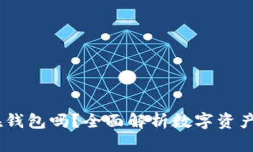 USDT可以存放在钱包吗？全面解析数字资产安全及存储方式