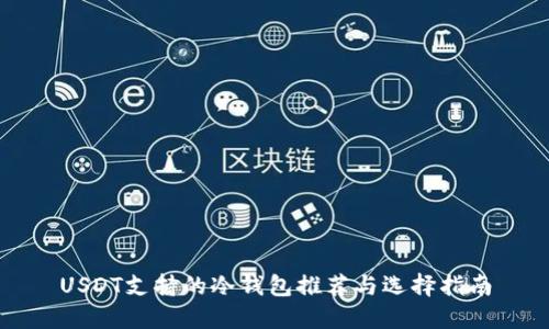 USDT支持的冷钱包推荐与选择指南
