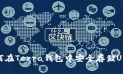 如何在Terra钱包中安全存储USDT