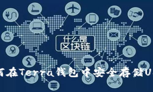 如何在Terra钱包中安全存储USDT