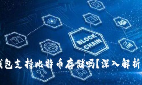 Token.im钱包支持比特币存储吗？深入解析与使用指南