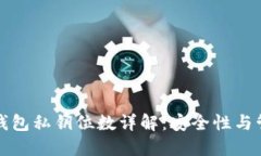 比特币钱包私钥位数详解：安全性与管理技巧