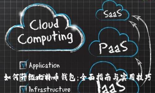 如何升级比特币钱包：全面指南与实用技巧