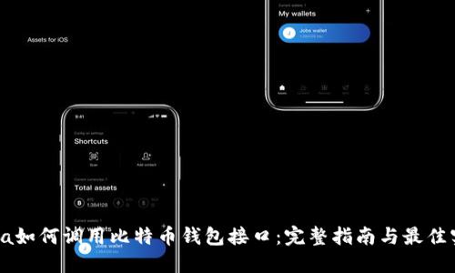 Java如何调用比特币钱包接口：完整指南与最佳实践