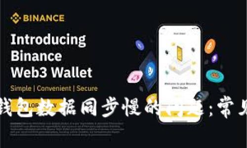 解决比特币钱包数据同步慢的问题：常见原因与建议