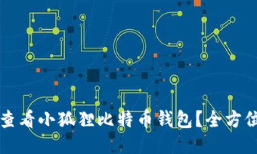 如何查看小狐狸比特币钱包？全方位指南