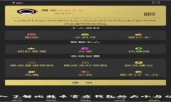 深入了解比特币官方钱包的大小与功能