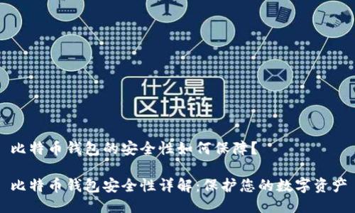 比特币钱包的安全性如何保障？

比特币钱包安全性详解：保护您的数字资产