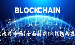 IM钱包可以存放比特币吗？全面解析IM钱包的虚拟