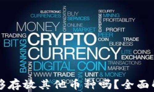 
比特币钱包能够存放其他币种吗？全面解析及使用指南