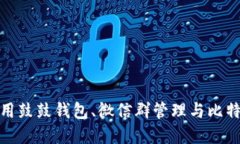 如何安全使用鼓鼓钱包、微信群管理与比特币投