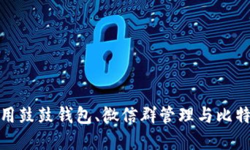 如何安全使用鼓鼓钱包、微信群管理与比特币投资策略