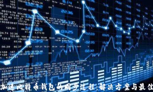 
如何加速比特币钱包的同步过程：解决方案与最佳实践