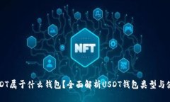 USDT属于什么钱包？全面解析USDT钱包类型与使用