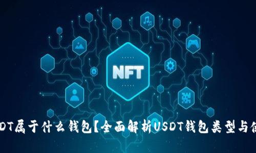 USDT属于什么钱包？全面解析USDT钱包类型与使用