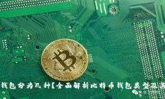 比特币钱包分为几种？全面解析比特币钱包类型