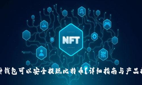 哪种钱包可以安全提现比特币？详细指南与产品推荐