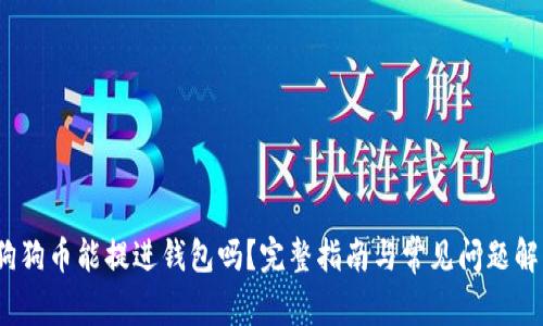 :狗狗币能提进钱包吗？完整指南与常见问题解析