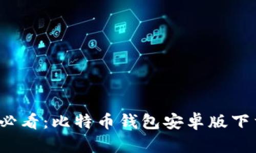 biaso安卓用户必看：比特币钱包安卓版下载安装完整指南