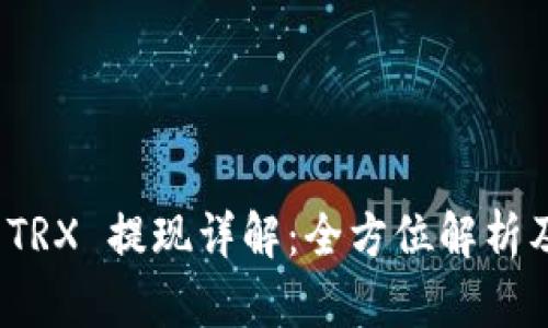 波点钱包 TRX 提现详解：全方位解析及使用攻略