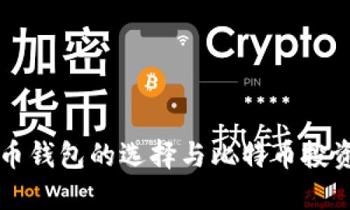 比特币钱包的选择与比特币投资指南