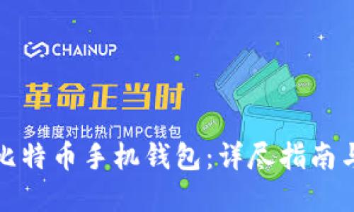 如何搭建比特币手机钱包：详尽指南与实用技巧